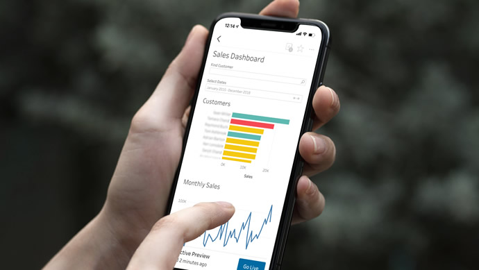 Intelisis ERP y Tableau®