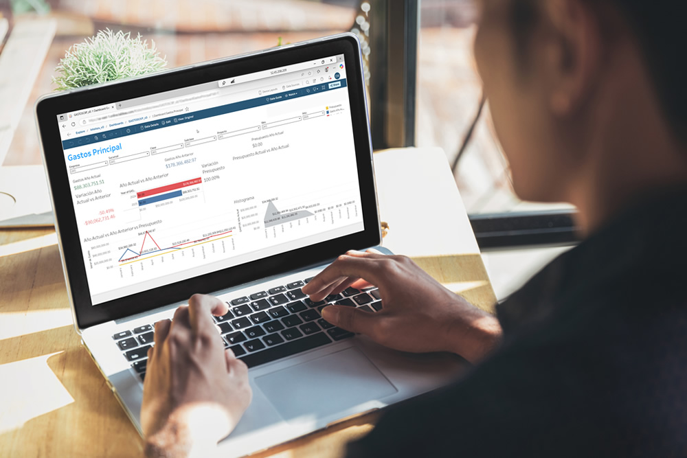 Intelisis ERP + Tableau®